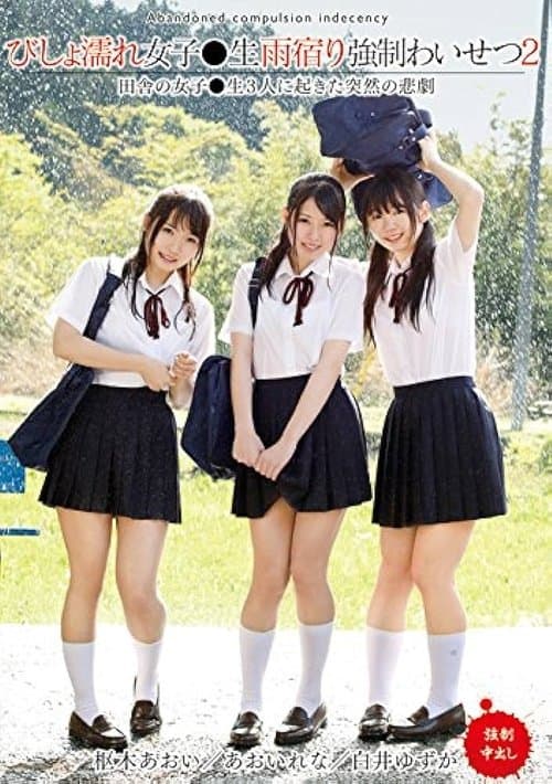 T28-537 Dripping Wet Girls Are Taking Shelter From The Rain And Receiving Sexual Harassment 2 poster