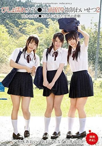 T28-537 Dripping Wet Girls Are Taking Shelter From The Rain And Receiving Sexual Harassment 2