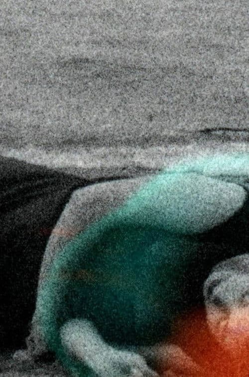 Le silence a disparu poster