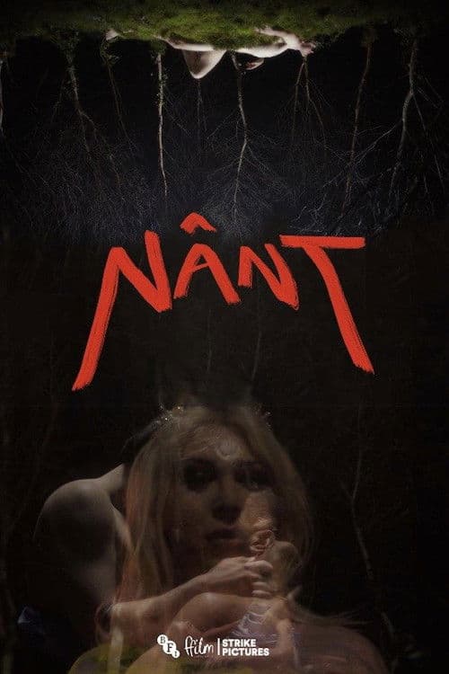 Nânt poster