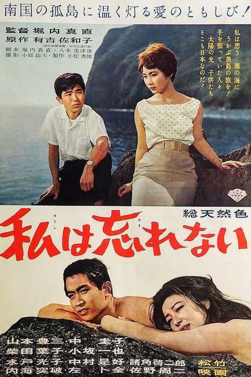I Will Never Forget poster