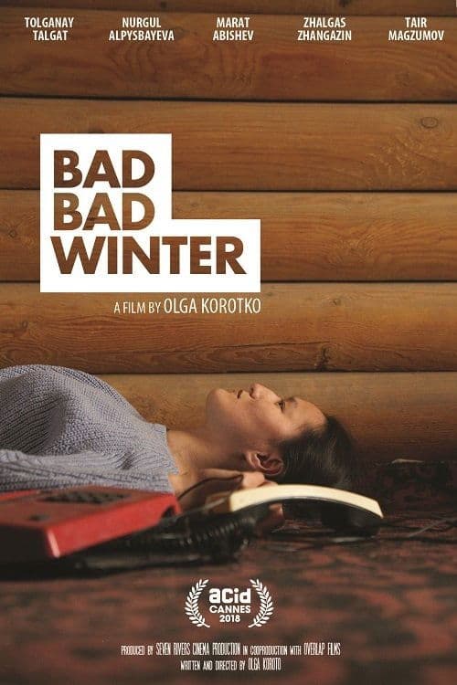 Bad Bad Winter poster