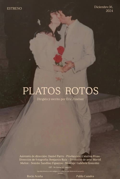 Platos Rotos poster