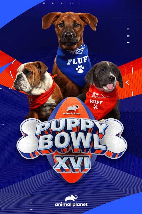 Puppy Bowl XVI poster
