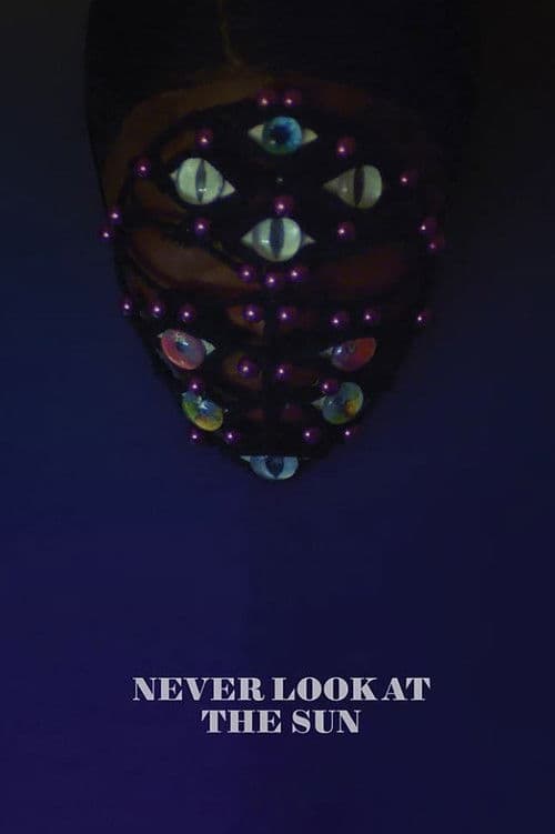 Never Look at the Sun poster