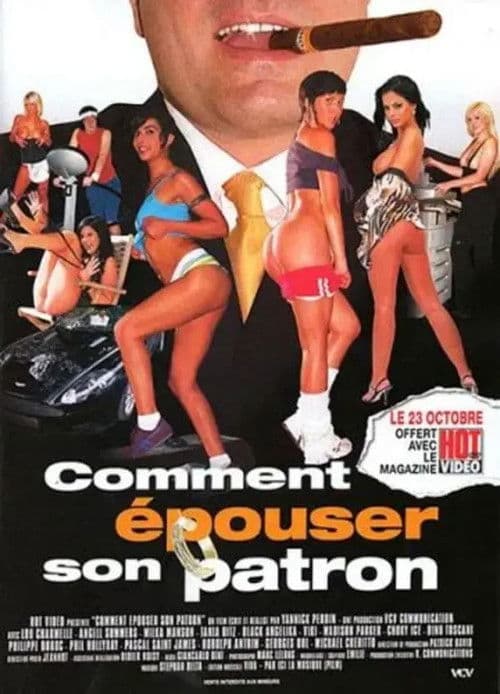 Comment épouser son patron poster