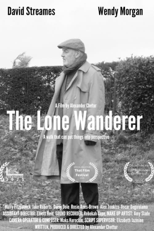 The Lone Wanderer poster