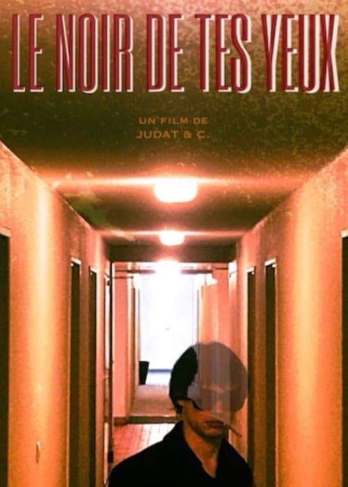 Le noir de tes yeux poster
