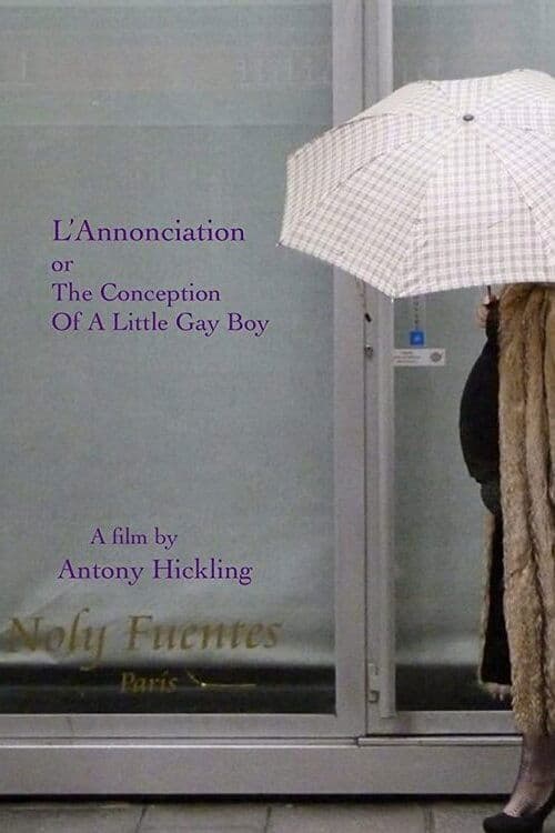 L'Annonciation or The Conception of a Little Gay Boy poster