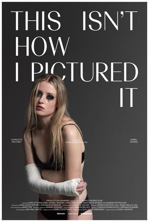 This Isn't How I Pictured It poster
