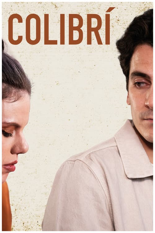 Colibrí poster