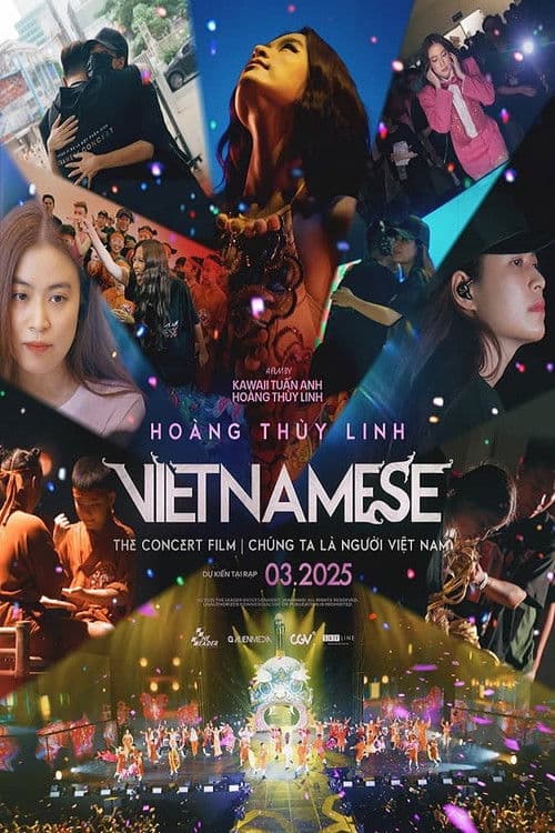 The Vietnamese Concert Film poster