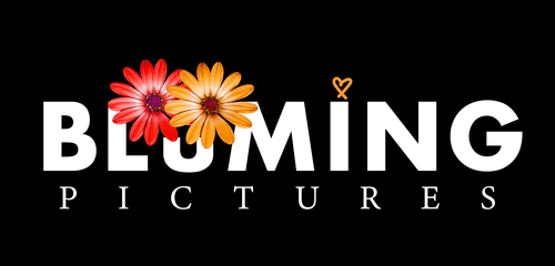 Blüming Pictures GmbH