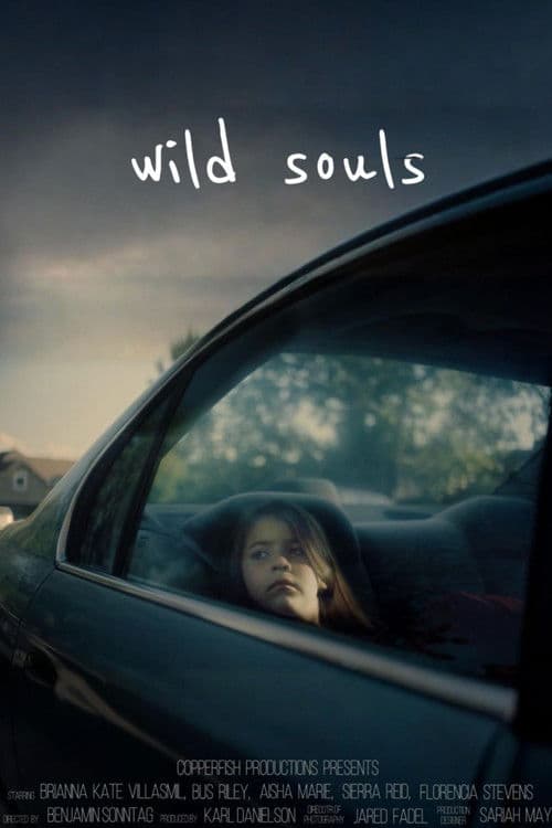Wild Souls poster