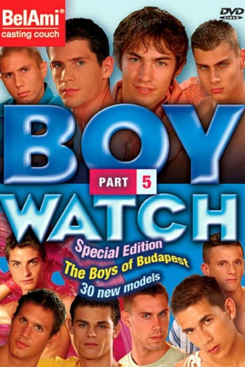 Boy Watch 5 poster