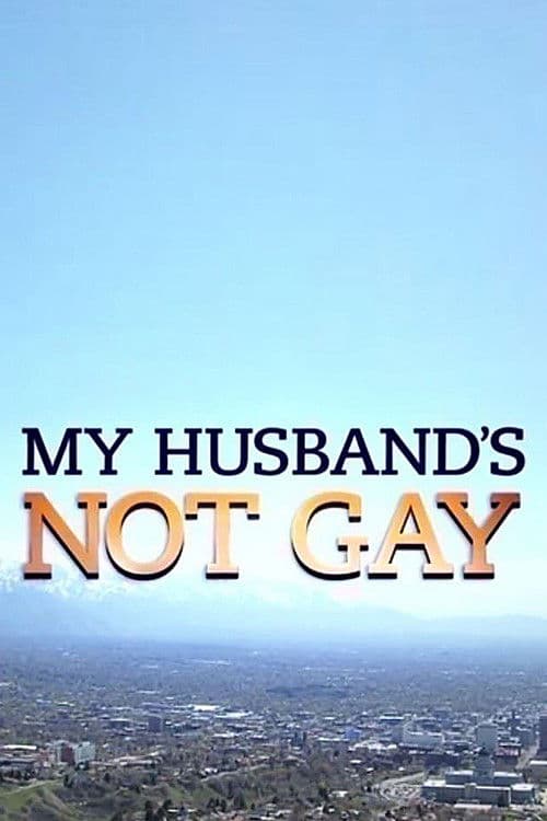 My Husband's Not Gay poster