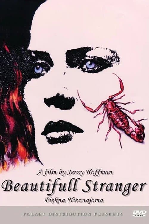 Beautiful Stranger poster