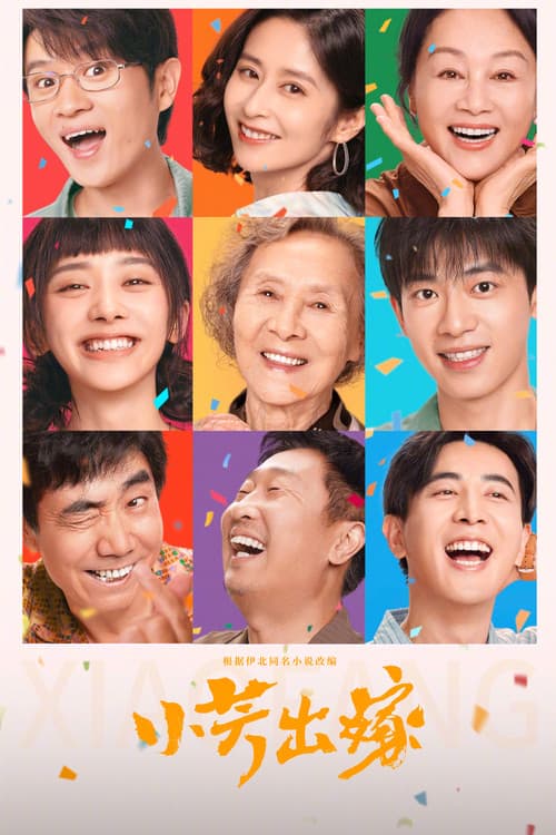 Xiao Fang Gets Married poster