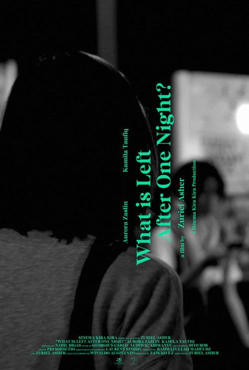 What is Left After One Night? poster