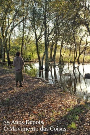 35 Anos Depois, O Movimento das Coisas poster