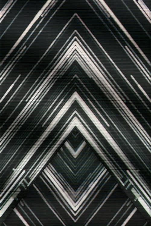 SAKANAQUARIUM 2015-2016 "NF Records launch tour" -LIVE at NIPPON BUDOKAN 2015.10.27- poster