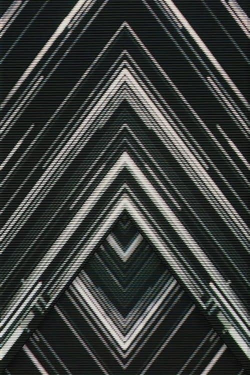 SAKANAQUARIUM 2015-2016 "NF Records launch tour" -LIVE at NIPPON BUDOKAN 2015.10.27- poster