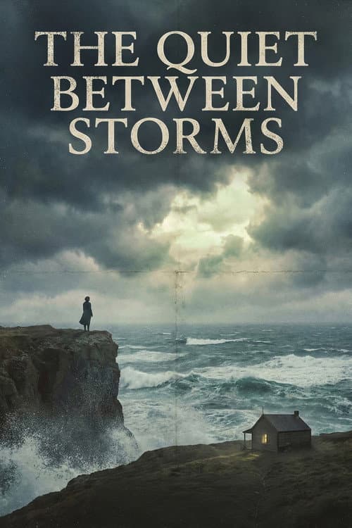 The Quiet Between Storms poster