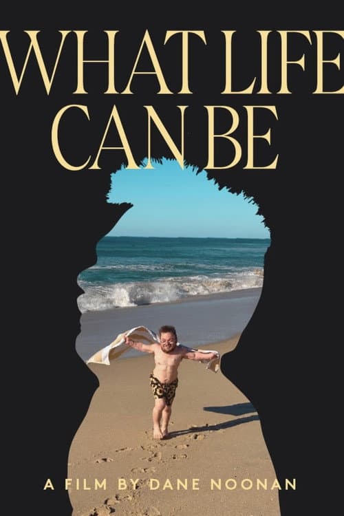 What Life Can Be poster