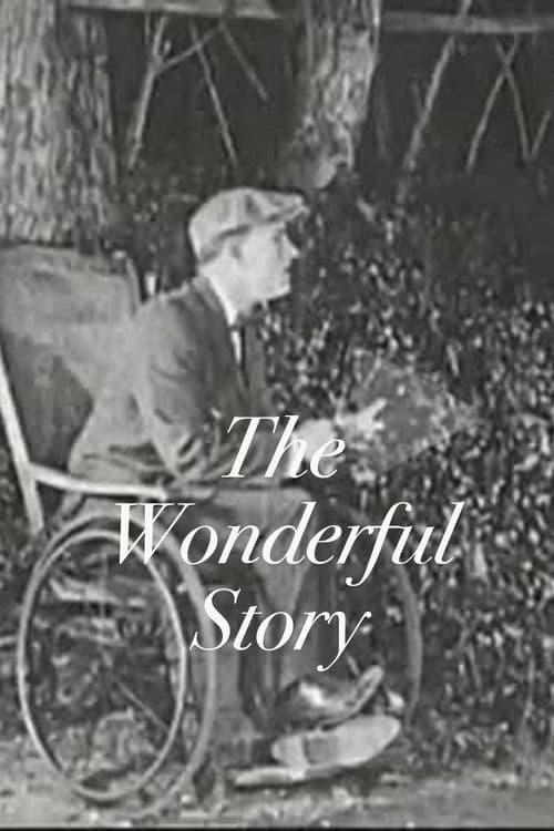 The Wonderful Story poster