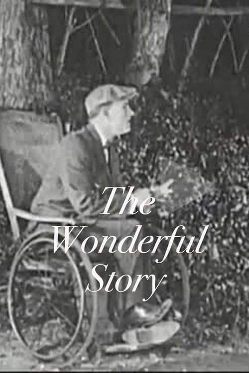 The Wonderful Story poster