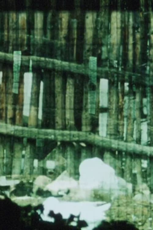 The Loom poster