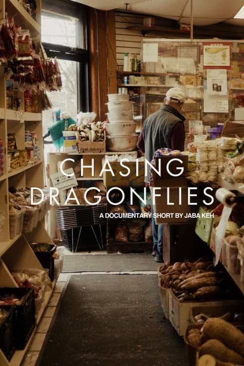 Chasing Dragonflies poster