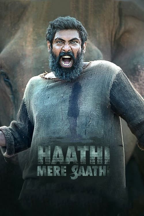 Kaadan poster