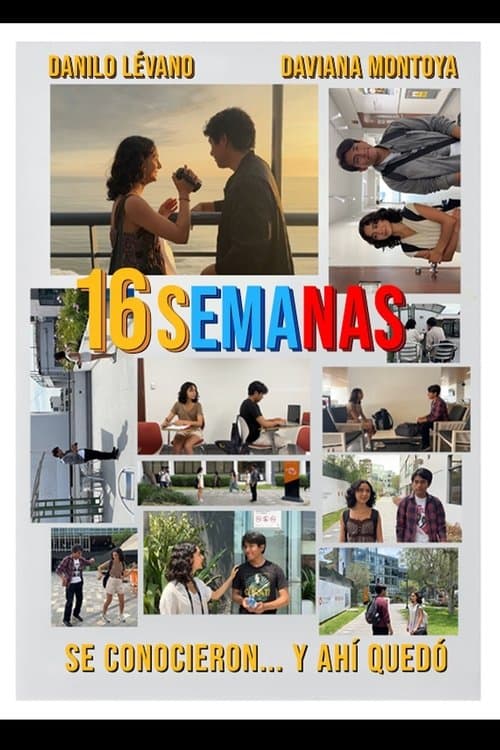 16 semanas poster