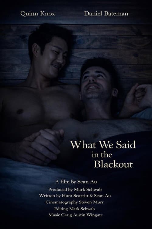 What We Said in the Blackout poster