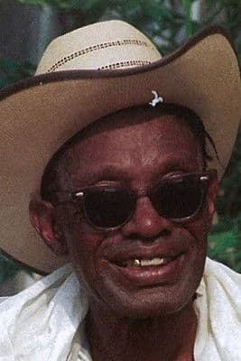 Lightnin' Hopkins profile photo