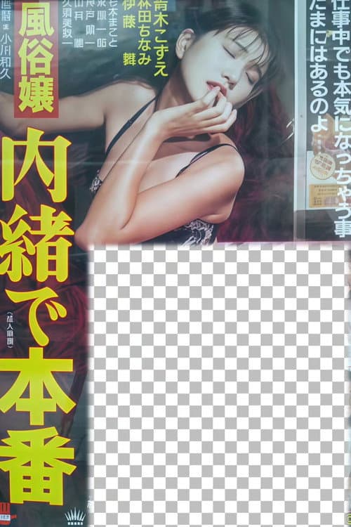 Call Girl: Secret Full Service poster