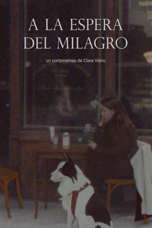 A la espera del milagro poster