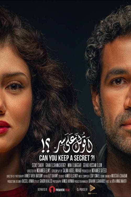 Can You Keep a Secret? poster