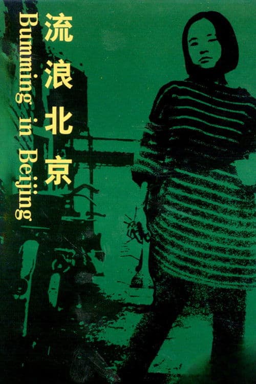 Bumming in Beijing: The Last Dreamers poster
