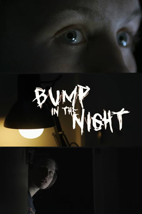 Bump In The Night poster