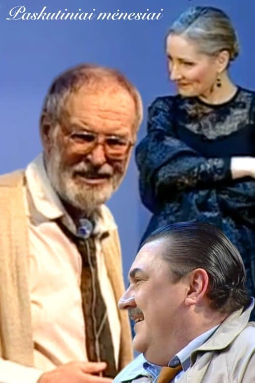 The Last Months poster