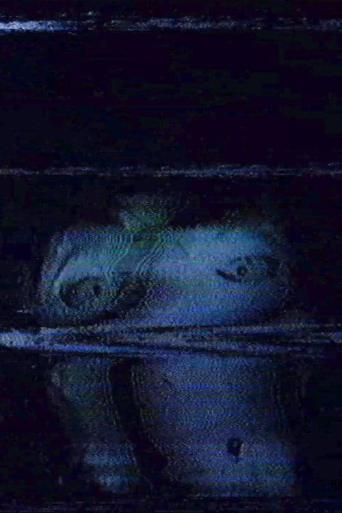 The Mistwood Incident poster