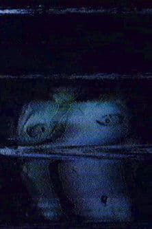 The Mistwood Incident poster