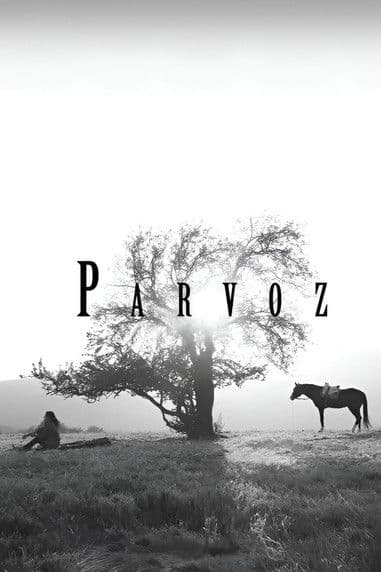 Parvoz poster