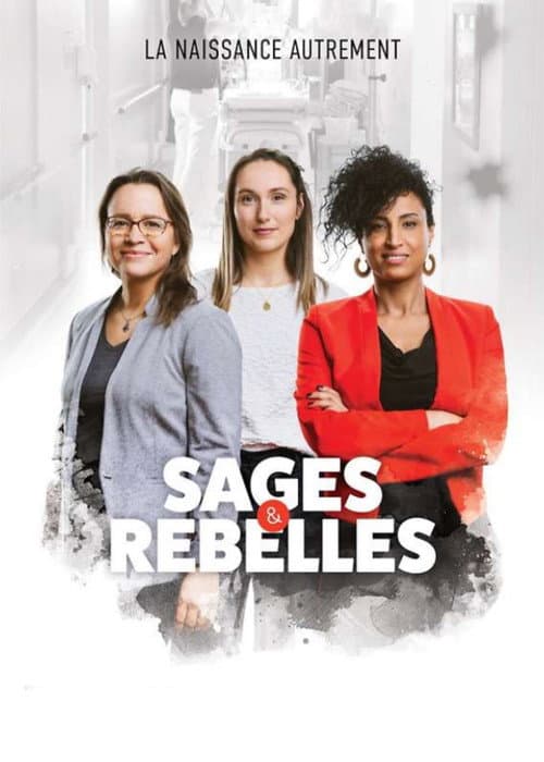 Sages et rebelles poster