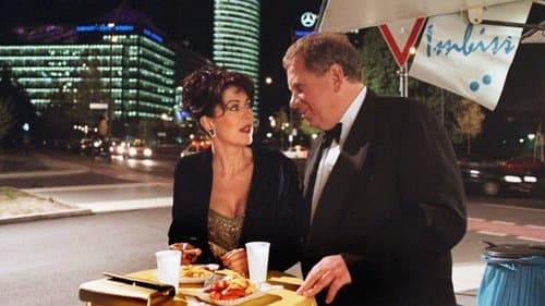 Dr. Sommerfeld - Zwischen allen Stühlen poster