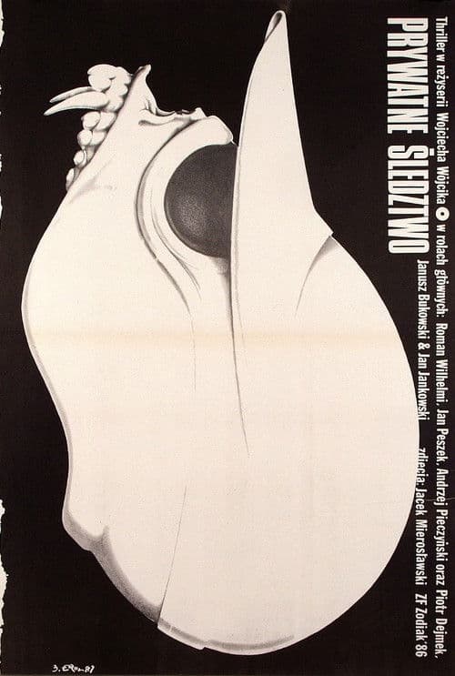 Private investigation poster