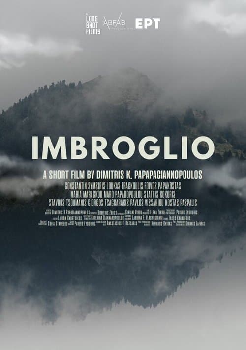 Imbroglio poster