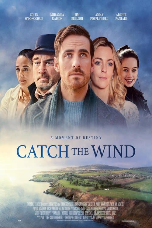 Catch the Wind poster